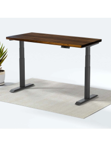 Стіл з електричним регулюванням Monotable ErgoWood 