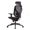 Компьютерное кресло GT Chair VIDA V7-N
