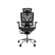 Ергономічне офісне крісло GTChair Alien
