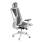  Эргономичное кресло D. MAX I D4MS-201 WMHL