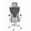  Эргономичное кресло D. MAX I D4MS-201 WMHL